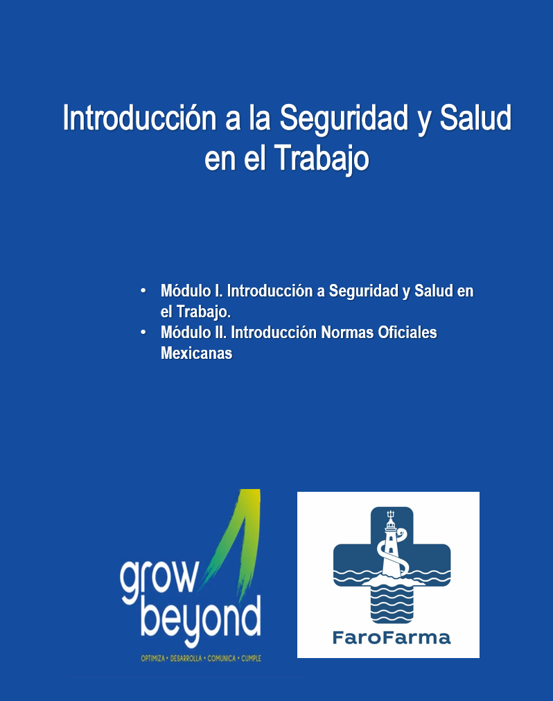 Introducción a la Seguridad y Salud en el Trabajo