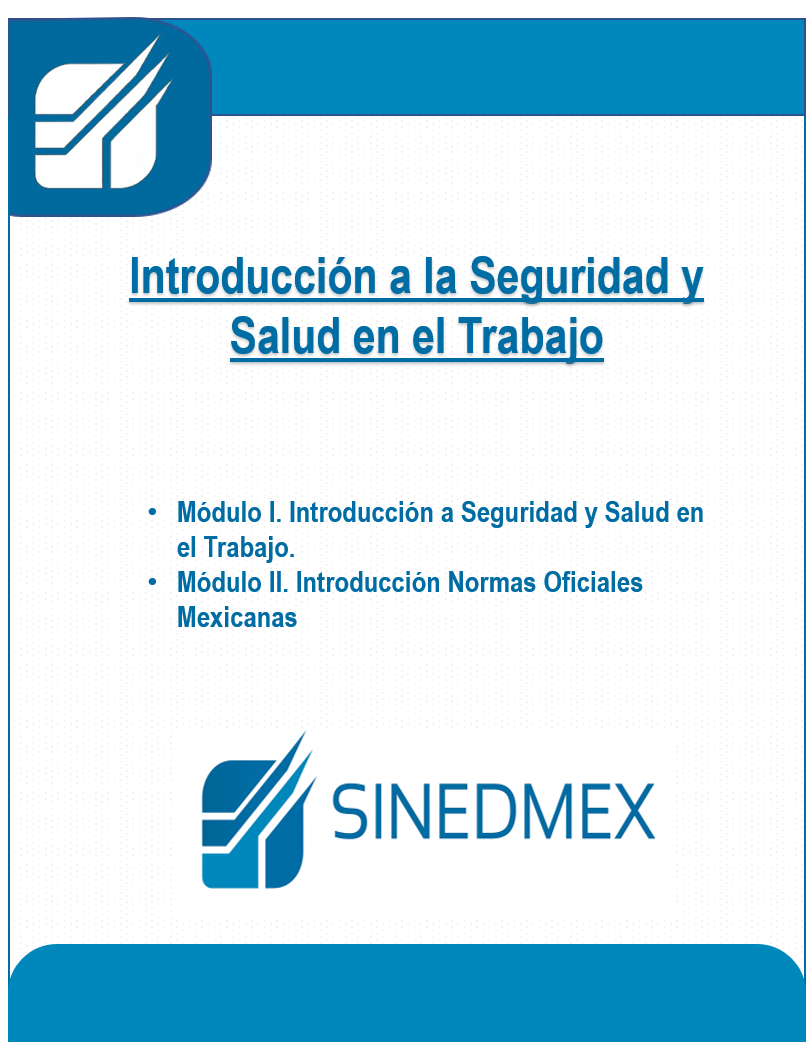 Introducción a la Seguridad y Salud en el Trabajo