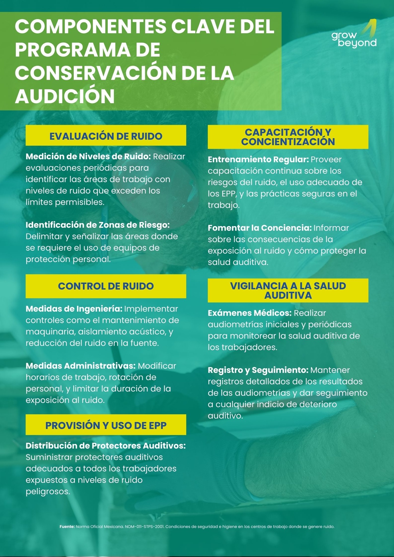 Componentes Clave del Programa de Conservación de la Audición