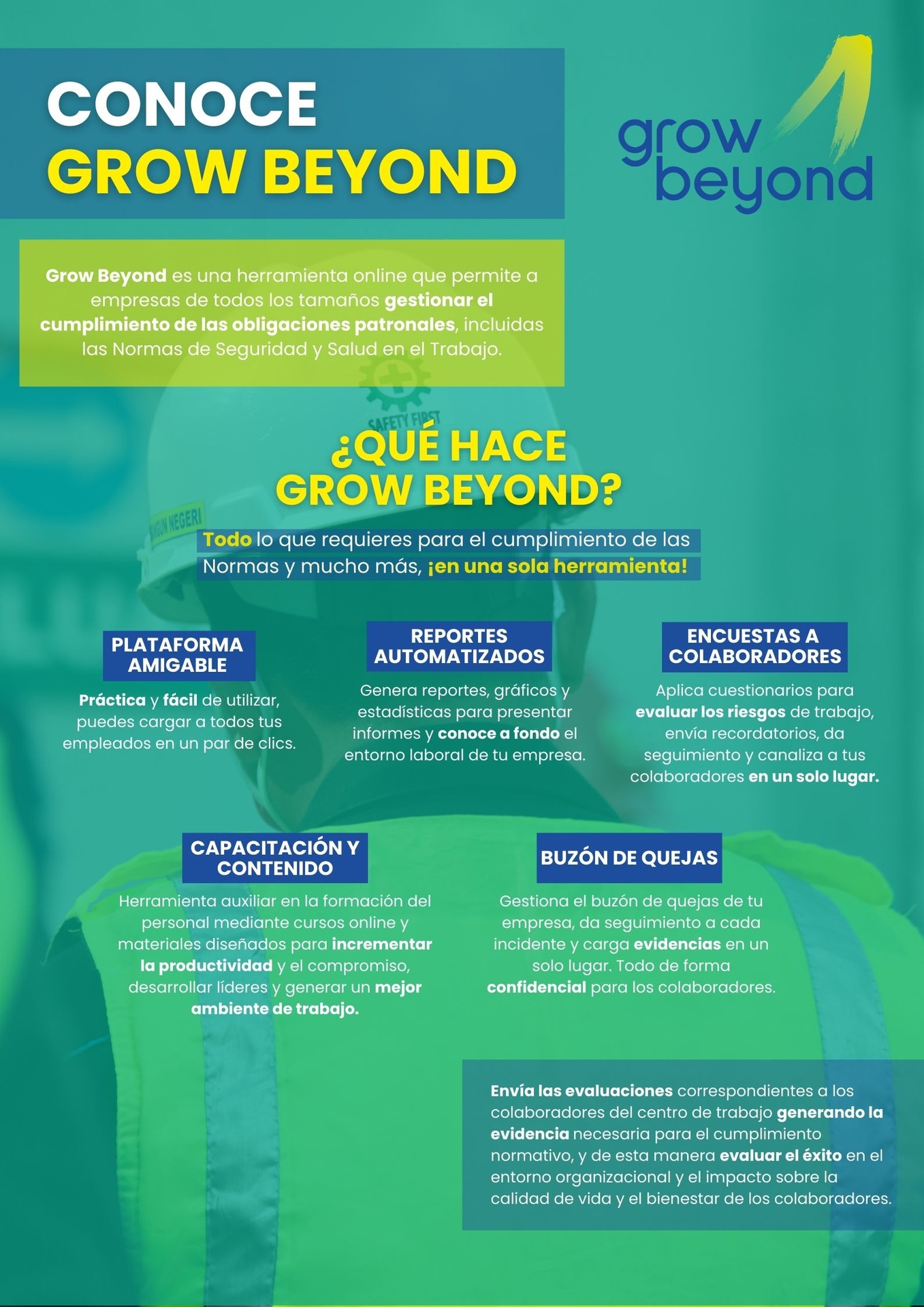 ¿Qué hace Grow Beyond?