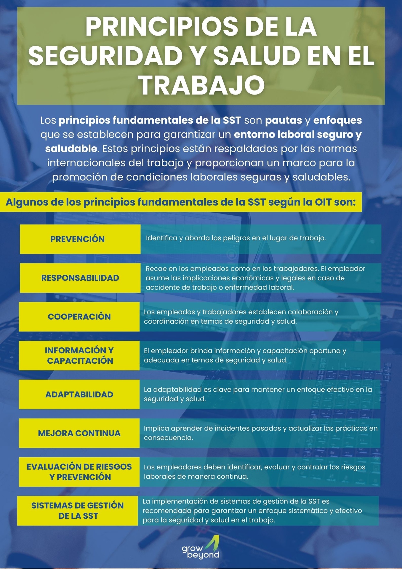 Principios de la Seguridad y Salud en el Trabajo