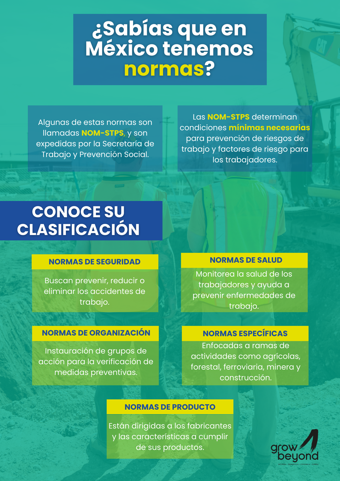 ¿Qué son las NOMs y cómo se clasifican?